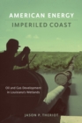 American Energy, Imperiled Coast : Oil and Gas Development in Louisiana's Wetlands - eBook