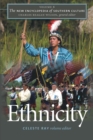 The New Encyclopedia of Southern Culture : Volume 6: Ethnicity - Book