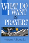 What Do I Want in Prayer? - Book