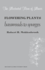 Flowering Plants : Basswoods to Spurges - Book