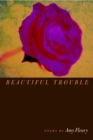 Beautiful Trouble - Book