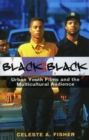 Black on Black : Urban Youth Films and the Multicultural Audience - Book