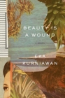 Beauty Is a Wound - Book