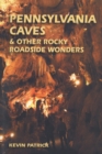 Pennsylvania Caves and Other Rocky Roadside Wonders - Book