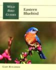 Eastern Bluebird - Book