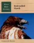 Red-Tailed Hawk - Book