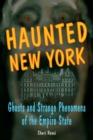 Haunted New York - eBook