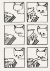 Cat Companion Journal - Book