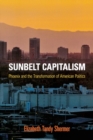 Sunbelt Capitalism : Phoenix and the Transformation of American Politics - Book