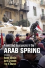 Armies and Insurgencies in the Arab Spring - Book