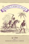 The Odyssey of an African Slave - eBook