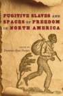 Fugitive Slaves and Spaces of Freedom in North America - Book
