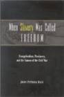 When Slavery Was Called Freedom : Evangelicalism, Proslavery and the Causes of the Civil War - Book
