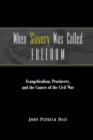 When Slavery Was Called Freedom : Evangelicalism, Proslavery, and the Causes of the Civil War - Book
