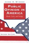 Public Opinion In America : Moods, Cycles, And Swings, Second Edition - Book
