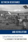 Between Resistance and Revolution : Cultural Politics and Social Protest - Book