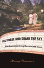 The Horse Who Drank the Sky : Film Experience Beyond Narrative and Theory - eBook