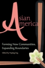 Asian America : Forming New Communities, Expanding Boundaries - eBook