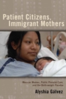Patient Citizens, Immigrant Mothers : Mexican Women, Public Prenatal Care, and the Birth Weight Paradox - eBook