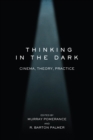 Thinking in the Dark : Cinema, Theory, Practice - eBook