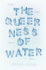 The Queerness of Water : Troubled Ecologies in the Eighteenth Century - Book