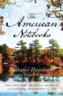 American Notebooks V8 - Book