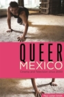 Queer Mexico : Cinema and Television since 2000 - Book