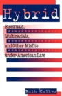 Hybrid : Bisexuals, Multiracials, and Other Misfits Under American Law - Book
