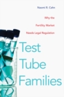 Test Tube Families : Why the Fertility Market Needs Legal Regulation - eBook