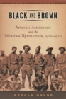Black and Brown : African Americans and the Mexican Revolution, 1910-1920 - Book