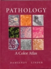 Pathology : A Color Atlas - Book