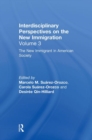 The New Immigrant in American Society : Interdisciplinary Perspectives on the New Immigration - Book