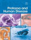 Protozoa and Human Disease - Book