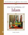 Encyclopedia of Islam - Book