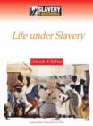 Maintaining a Culture : Life Under Slavery - Book