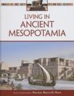Living in Ancient Mesopotamia - Book
