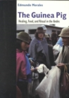 The Guinea Pig : Healing, Food, and Ritual in the Andes - Book