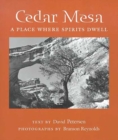 Cedar Mesa : A Place Where Spirits Dwell - Book