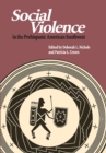 Social Violence in the Prehispanic American Southwest - Book