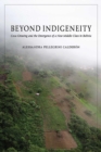Beyond Indigeneity : Growing and the Emergence of a New Middle Class in Bolivia - Book