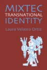 Mixtec Transnational Identity - eBook