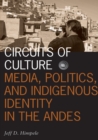 Circuits of Culture : Media, Politics, and Indigenous Identity in the Andes - Book
