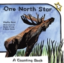 One North Star : A Counting Book - Book