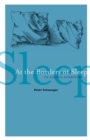 At the Borders of Sleep : On Liminal Literature - Book