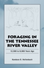 Time's River : Archaeological Syntheses from the Lower Mississippi Valley - Hollenbach Kandace D. Hollenbach