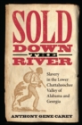 Sold Down the River : Slavery in the Lower Chattahoochee Valley of Alabama and Georgia - eBook