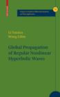 Global Propagation of Regular Nonlinear Hyperbolic Waves - Book