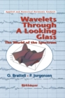 Wavelets Through a Looking Glass : The World of the Spectrum - Book