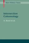 Intersection Cohomology - Book