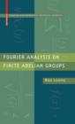Fourier Analysis on Finite Abelian Groups - eBook